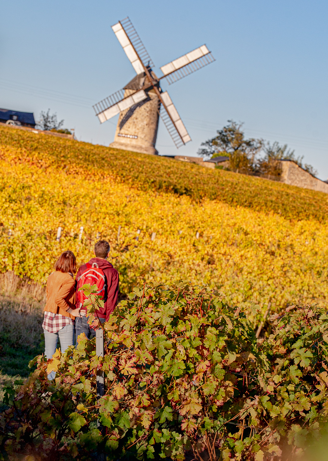 AnjouR Nuit Randonnées Destination Anjou Vignoble et Villages