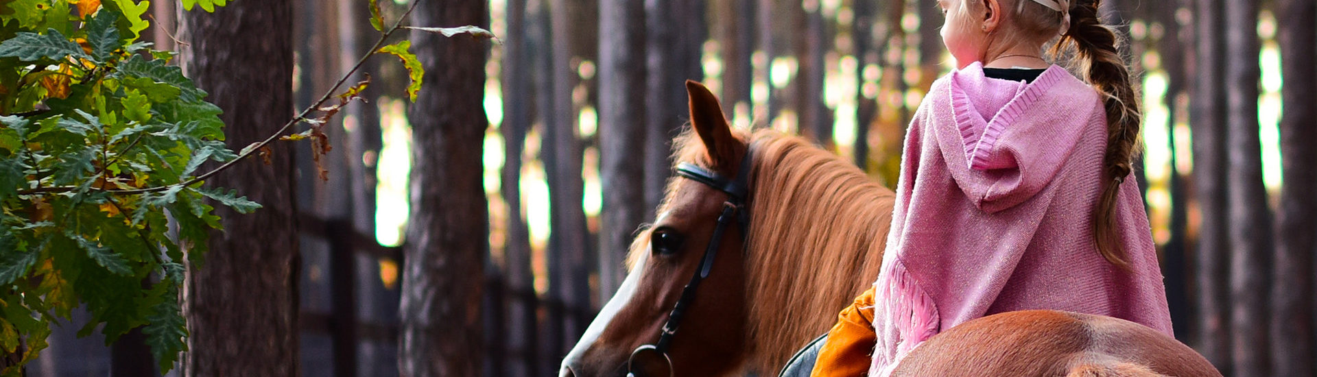 Centres équestres