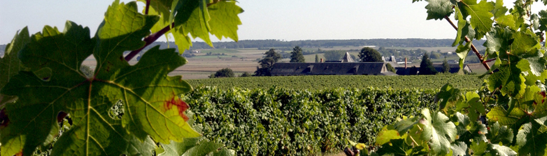 Domaine de Bois Mozé