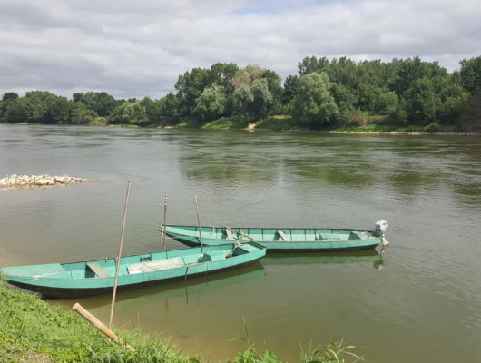 CHALONNES-SUR-LOIRE – 23 – COTEAU SAINT-VINCENT - 20160728-113649
