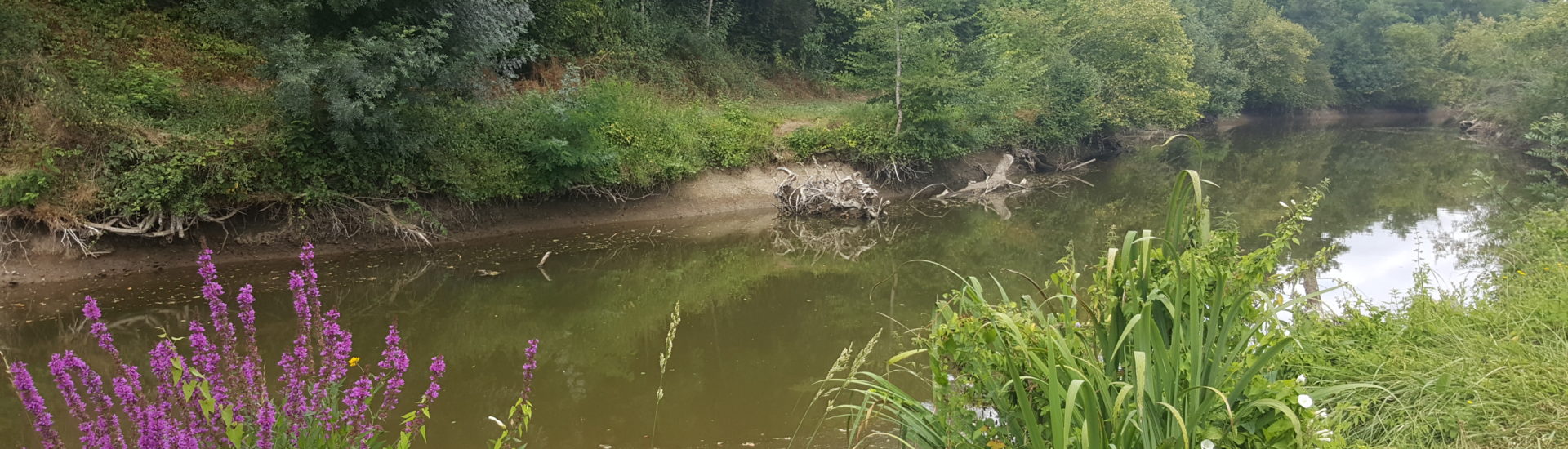 SENTIER D&rsquo;INTERPRÉTATION DU LAYON A SAINT AUBIN DE LUIGNÉ