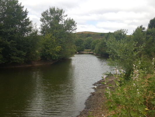SENTIER D&rsquo;INTERPRÉTATION DU LAYON A SAINT AUBIN DE LUIGNÉ - 20160811-125139