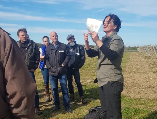 Domaine de Bois Mozé - 56549503-2289811961339940-945875296068829184-n