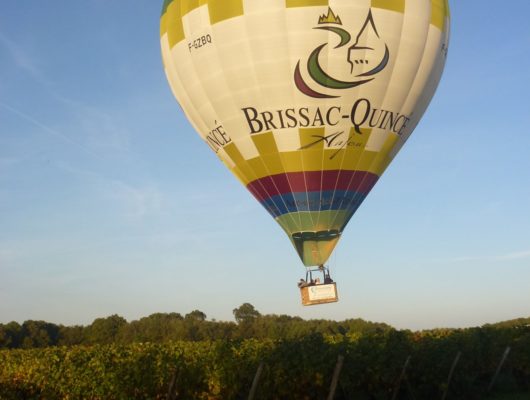 Vivez la magie d’un vol ! - aubanc-in---vignes70