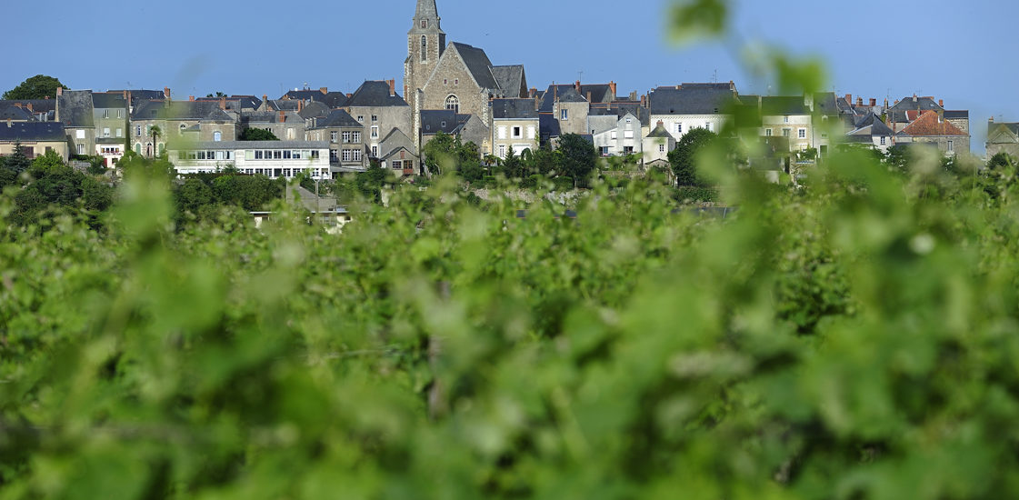 BRISSAC-QUINCÉ – 71 – CIRCUIT DU MOULIN DE RAS