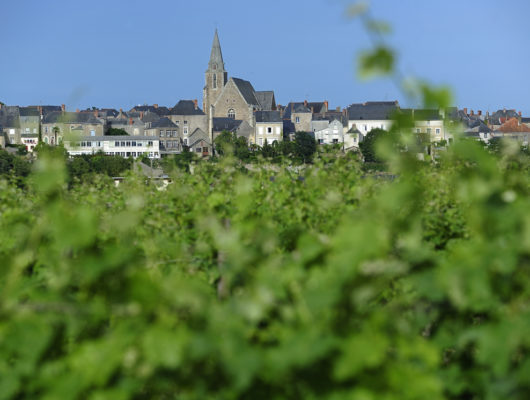 BRISSAC-QUINCÉ – 71 – CIRCUIT DU MOULIN DE RAS - brissacquince-49-1153581