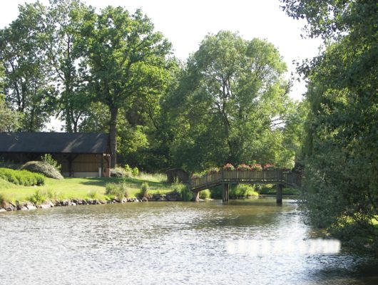 Champ sur Layon – 54 – Vallons et coteaux - champ-sur-layon-3
