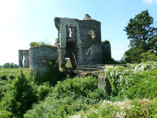 CIRCUIT DU PATRIMOINE DE CHAMPTOCÉ SUR LOIRE - champtoce-sur-loire-ete-2015-credit-a.rosselin--16-
