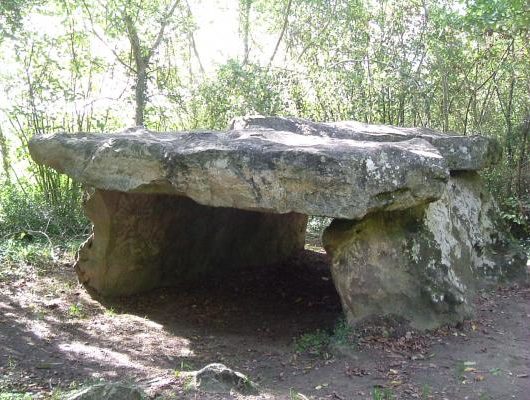 CHEMELLIER – 75 – ENTRE PLAINE ET SOUS-BOIS - dolmenmoulinpiau-chemellier-brissacloireaubance-49-2