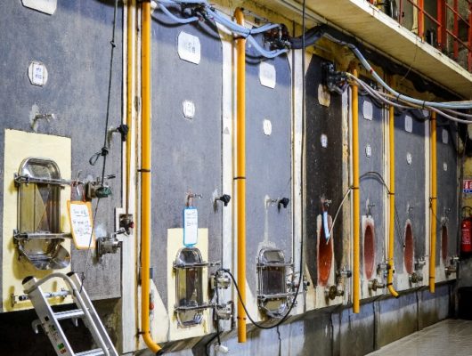 Domaine de Bois Mozé - domainedeboismoze-coutures-49-1282913