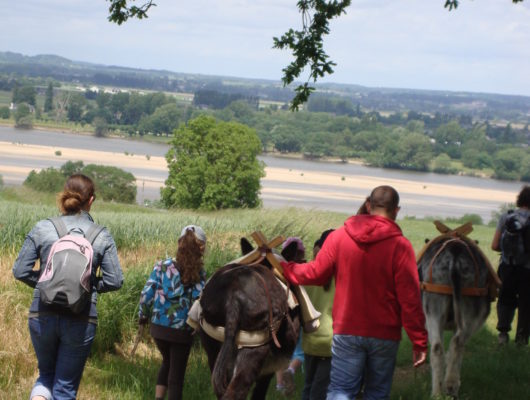 GOG’ANE - dsc00783