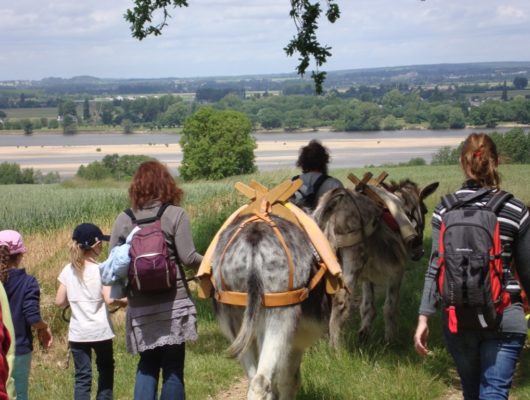 GOG’ANE - gog-ane1