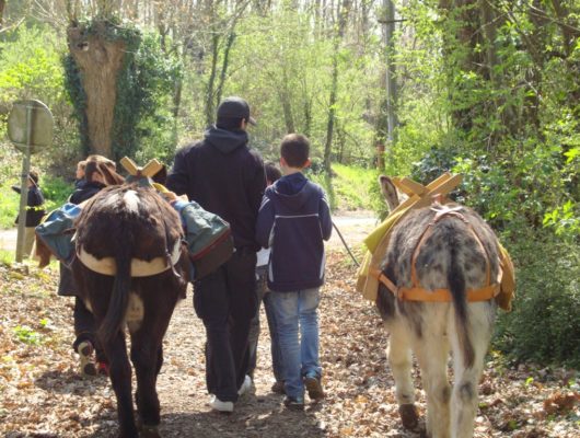 GOG’ANE - gog-ane4