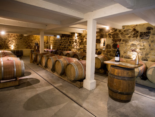 Domaine de Bois Mozé - img-8975