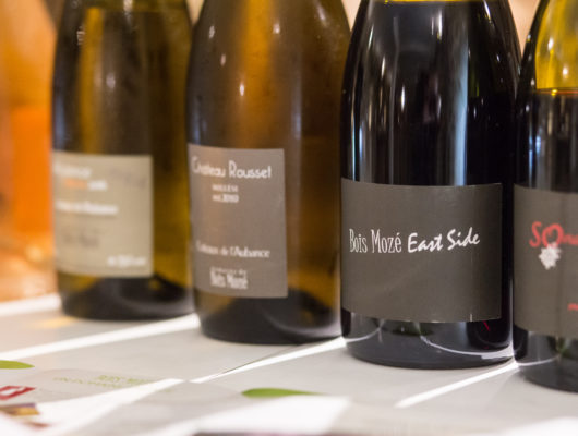 Domaine de Bois Mozé - img-9192