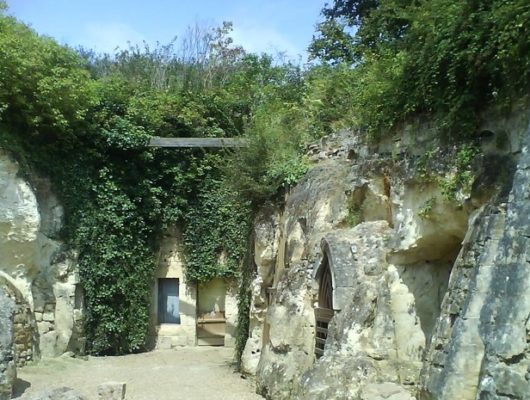 CHEMELLIER – 75 – ENTRE PLAINE ET SOUS-BOIS - l-orbiere--st-georges-des-7-voies-