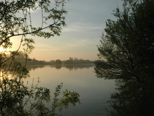 SENTIER D&rsquo;INTERPRÉTATION DE LA GRANDE ILE A SAINT REMY LA VARENNE - loire3