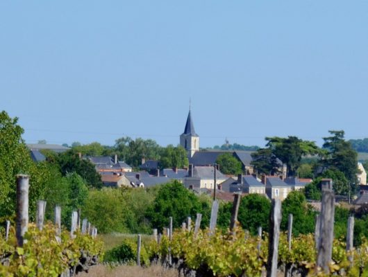 CIRCUIT VTT COMBINÉ N°56 + N°57 - machelles