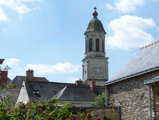 CHAMPTOCE-SUR-LOIRE – 10 – AU FIL DE LA LOIRE - p1200213