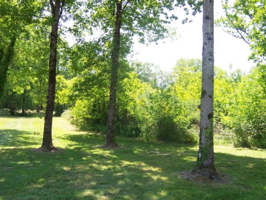SAINT-JEAN-DES-MAUVRETS – 81 – PARCOURS DE LA VALLÉE - parcdesgarennes-juignesurloire-49-1153592
