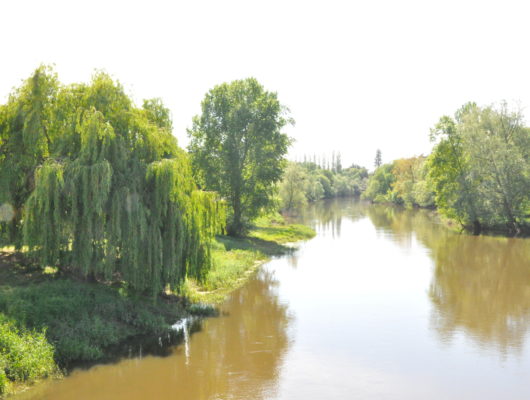 CIRCUIT DU PATRIMOINE DE ROCHEFORT SUR LOIRE - rochefort-sur-loire---credit-photo-claire-pothier--8-