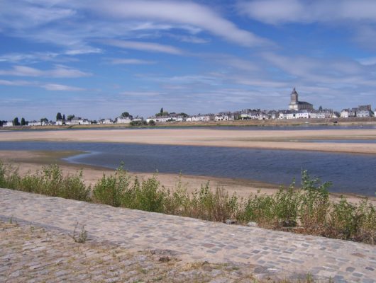 SENTIER D&rsquo;INTERPRÉTATION DE LA GRANDE ILE A SAINT REMY LA VARENNE - saint-remy-la-varenne-49-4-2
