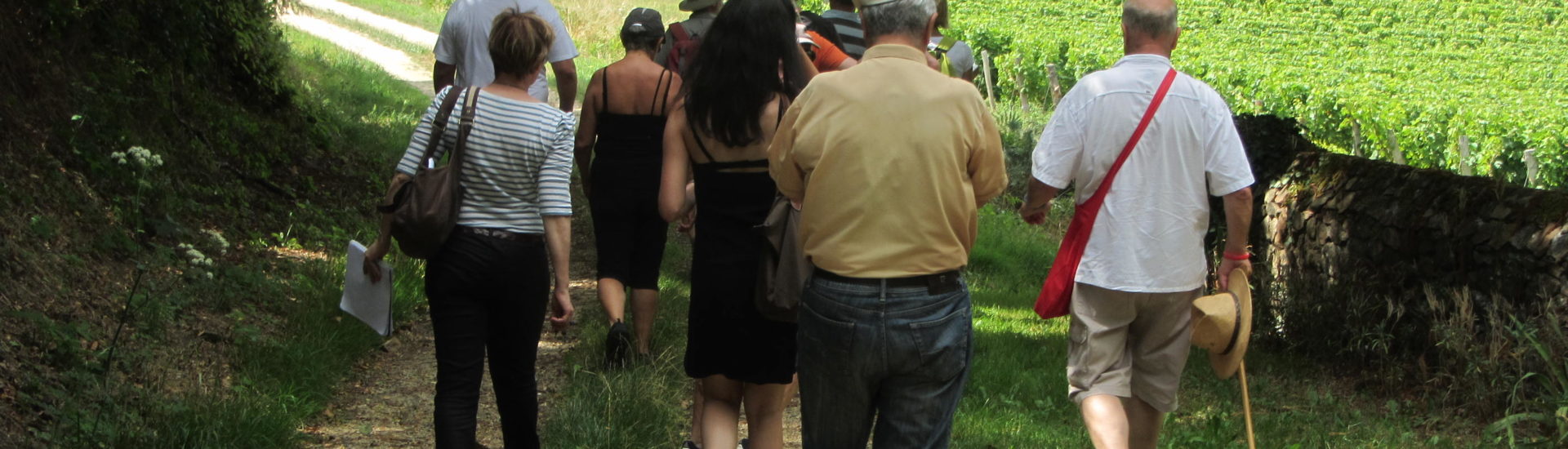 SENTIER D&rsquo;INTERPRÉTATION DU VIGNOBLE DE L&rsquo;AUBANCE : VIGNOBLE ET PATRIMOINE