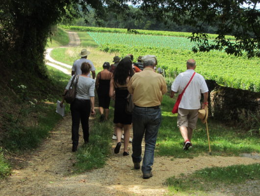 SENTIER D&rsquo;INTERPRÉTATION DU VIGNOBLE DE L&rsquo;AUBANCE : VIGNOBLE ET PATRIMOINE - sentierd-interpretation-blaisongohier-49-1120649
