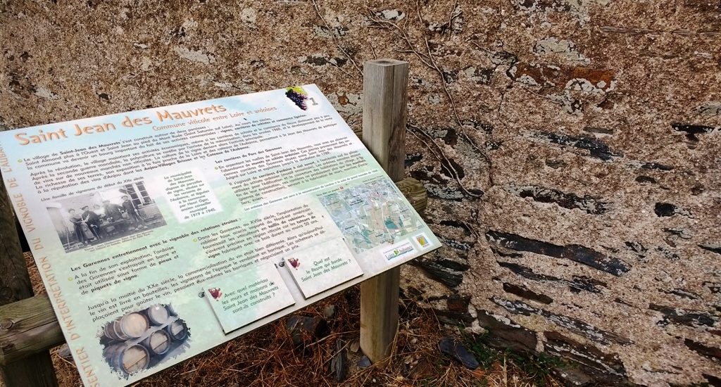 SENTIER D&rsquo;INTERPRÉTATION DU VIGNOBLE DE L&rsquo;AUBANCE : LA VIGNE AU FIL DU TEMPS