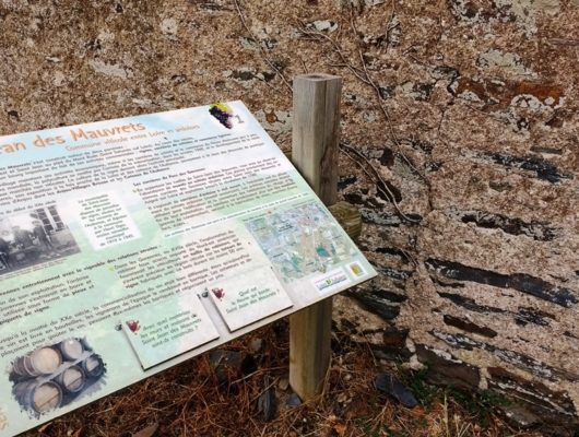 SENTIER D&rsquo;INTERPRÉTATION DU VIGNOBLE DE L&rsquo;AUBANCE : LA VIGNE AU FIL DU TEMPS - sentierdinterpretationvignoble-saintjeandesmauvrets-49-1247374