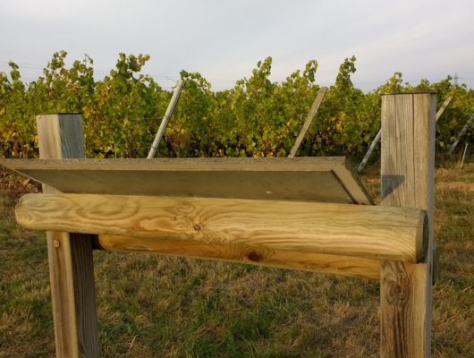 SENTIER D&rsquo;INTERPRÉTATION DU VIGNOBLE DE L&rsquo;AUBANCE : LA VIGNE AU FIL DU TEMPS - sentierdinterpretationvignoble-saintjeandesmauvrets-49-4-1247377