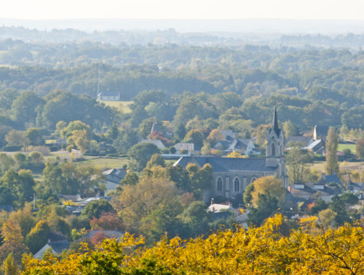 SAINT-JEAN-DES-MAUVRETS – 82 – BUCHÊNE - st-jean-des-mauvrets-jam7952