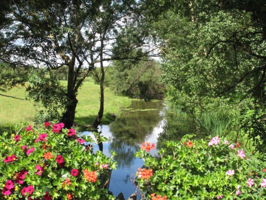 CHAMPTOCE-SUR-LOIRE – 10 – AU FIL DE LA LOIRE - vallee-st-germain6-bd