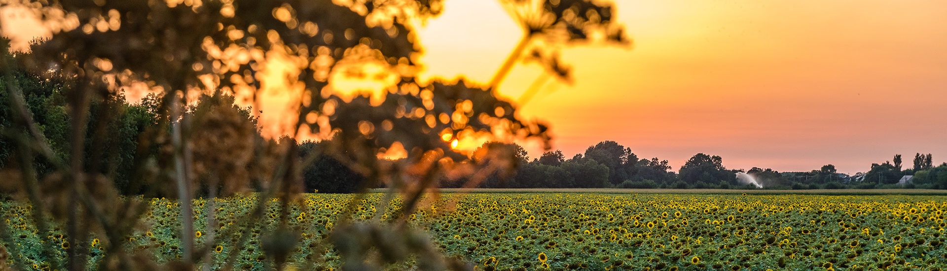 Préparer mon séjour