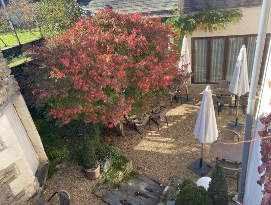 Le Petit Manoir - photo-3-11