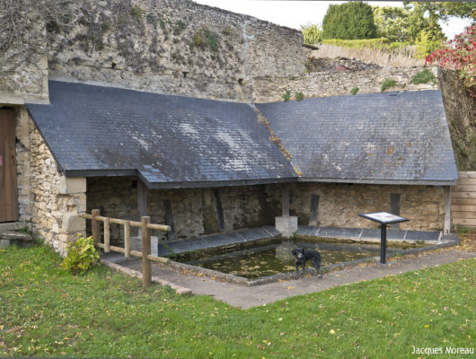 CIRCUIT VTT COMBINÉ N°56 + N°57 - -jam4580