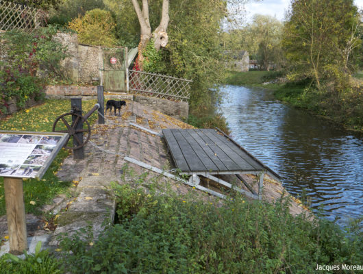 CIRCUIT VTT COMBINÉ N°56 + N°57 - -jam4584