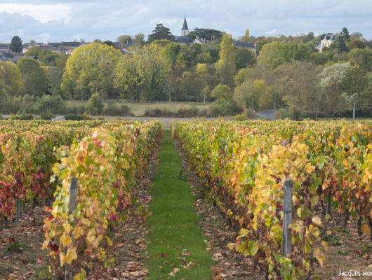 CIRCUIT VTT COMBINÉ N°56 + N°57 - -moj8402