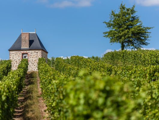 RABLAY SUR LAYON – 55 – L&rsquo;ÉVEIL EN COULEUR - maison-de-vignes-rablay-sur-layon-web-photo-sebastien-gaudard--2-