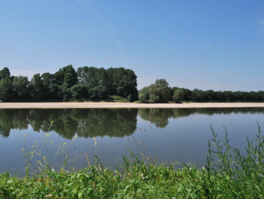 CHAMPTOCE-SUR-LOIRE – 10 – AU FIL DE LA LOIRE - loire---chalonnes-et-posso---juillet-2017--13--2