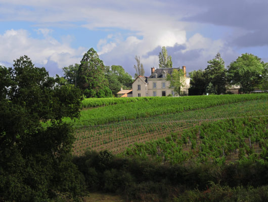 CHÂTEAU DE LA VIAUDIÈRE - chateaudelaviaudiere-champsurlayon-49--3-