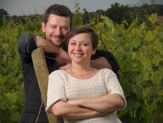 CHÂTEAU DE LA VIAUDIÈRE - chateaudelaviaudiere-champsurlayon-49-pierre-agnes-chateaudelaviaudiere