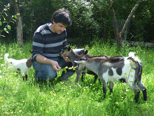 IL ÉTAIT UNE FERME - 010-7
