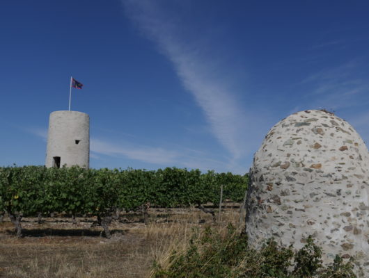 GR® de Pays Coteaux du Layon et de la Loire - p1160752-cg-2