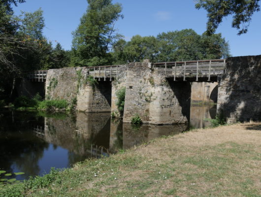 GR® de Pays Coteaux du Layon et de la Loire - p1160757-cg