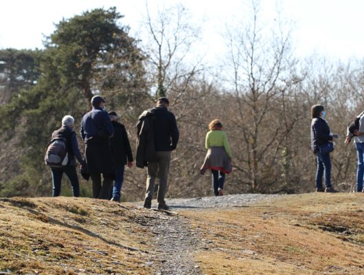 BALUDIK – EN&rsquo;QUÊTE DE PLANTES AU PARC DES GARENNES - baludik---en-quete-de-plantes-au-parc-des-garennes-1