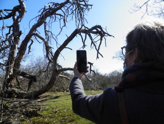 BALUDIK – EN&rsquo;QUÊTE DE PLANTES AU PARC DES GARENNES - baludik---en-quete-de-plantes-au-parc-des-garennes-2