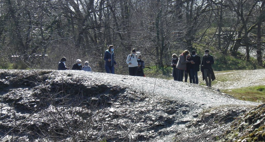 BALUDIK – EN&rsquo;QUÊTE DE PLANTES AU PARC DES GARENNES