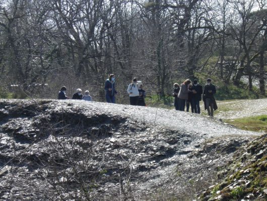 BALUDIK – EN&rsquo;QUÊTE DE PLANTES AU PARC DES GARENNES - baludik---en-quete-de-plantes-au-parc-des-garennes-3