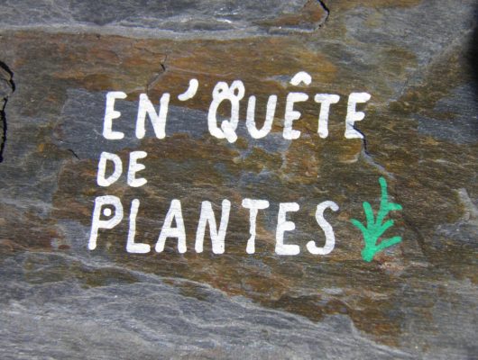 BALUDIK – EN&rsquo;QUÊTE DE PLANTES AU PARC DES GARENNES - baludik---en-quete-de-plantes-au-parc-des-garennes-4